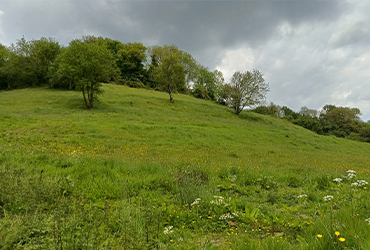 Charmy Down valley slopes after hedge cutting