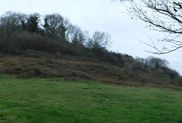 Charmy Down valley slopes before hedge cutting