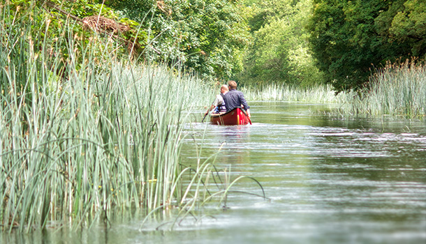 Rowing boat in a river with reeds