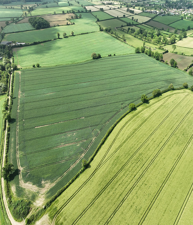Aerial View Of Somerset Levels Moors Wetland Land
