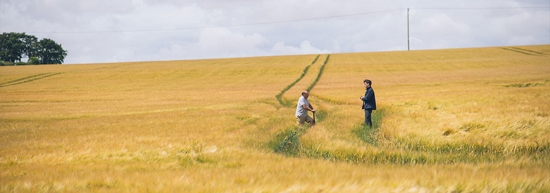 Catchment management employee in a field with a farmer