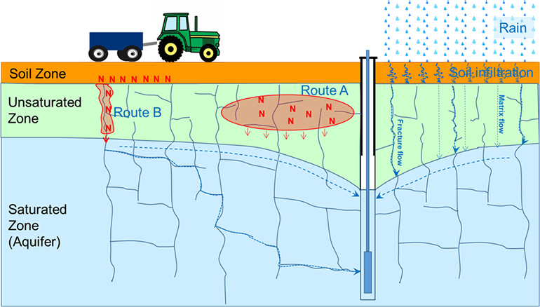 Diagram Showing The Process Of Nitrate Leaching Into Groundwater